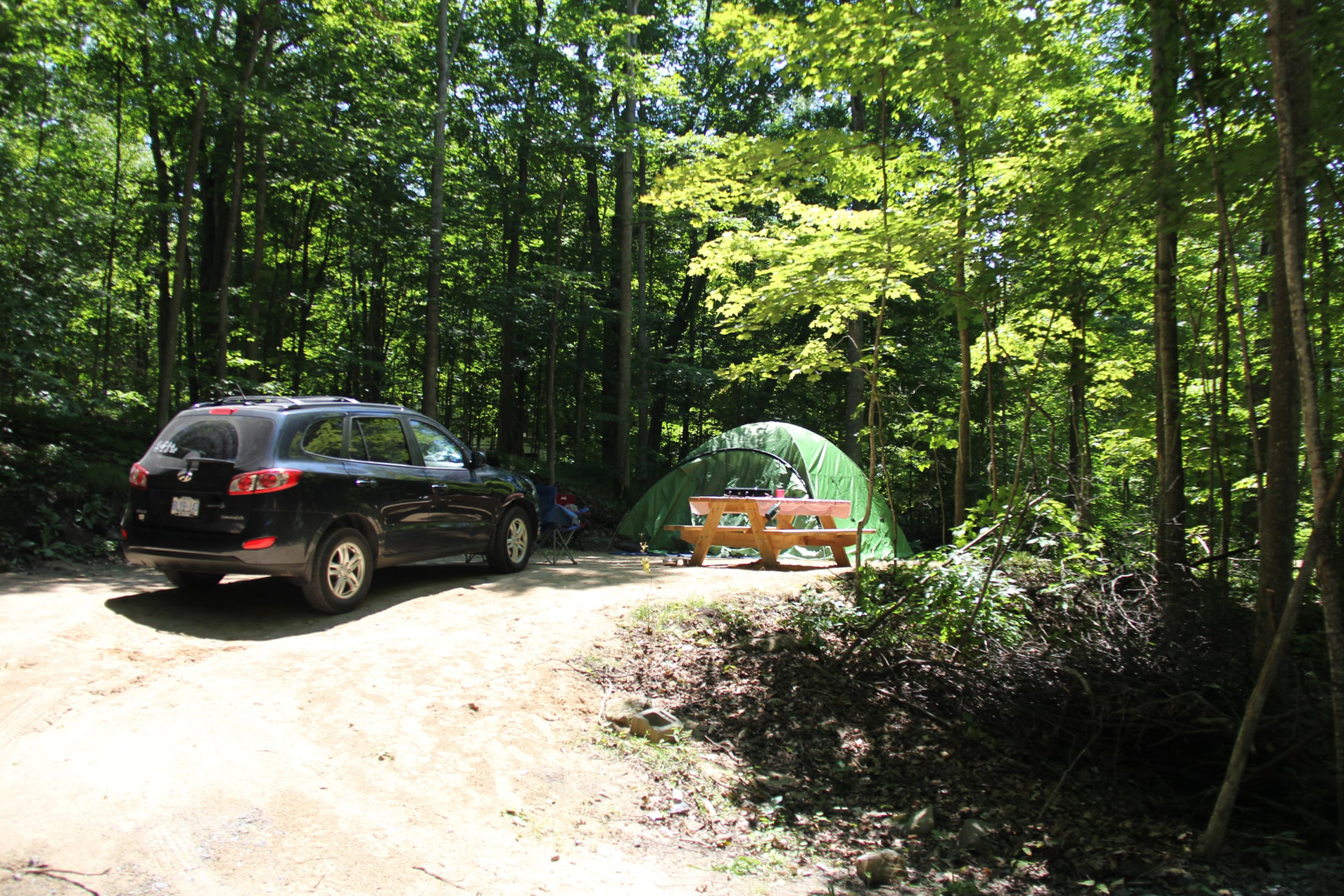 Green tent and car in the woods