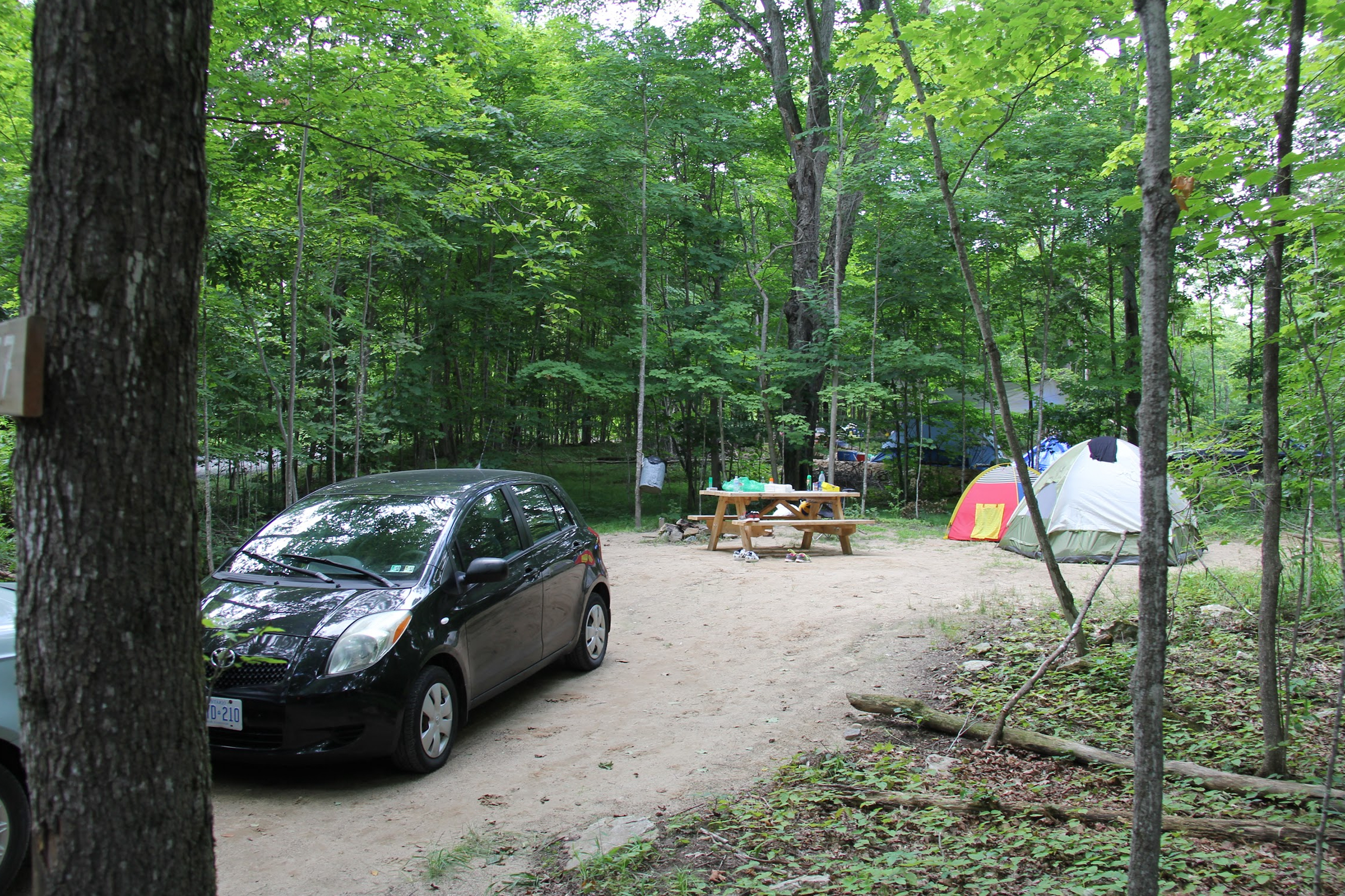 Car in the woods with two tents