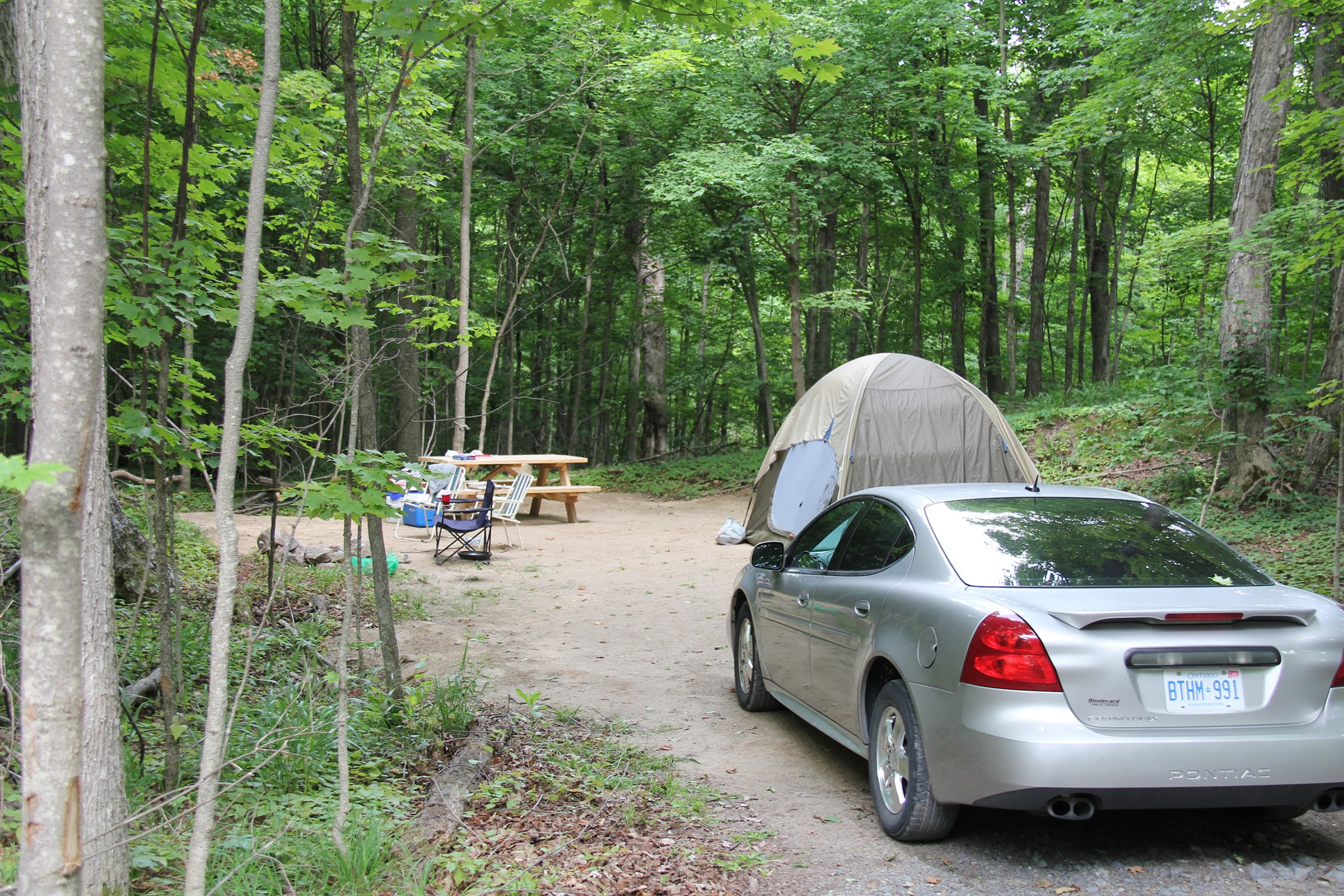 tent in the woods with car
