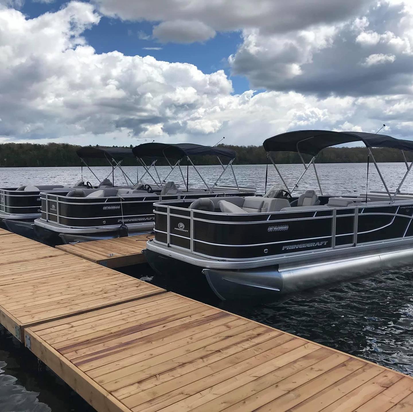 boats
